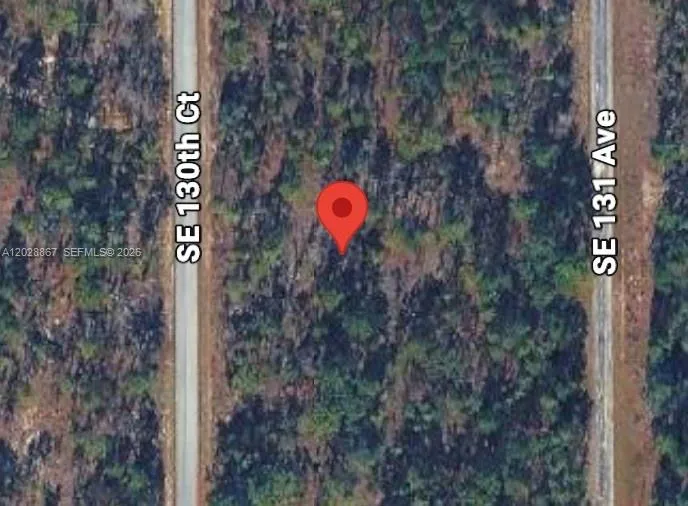 Lot 49 SE 130th Ct, Other City - In The State Of Florida FL 34431
