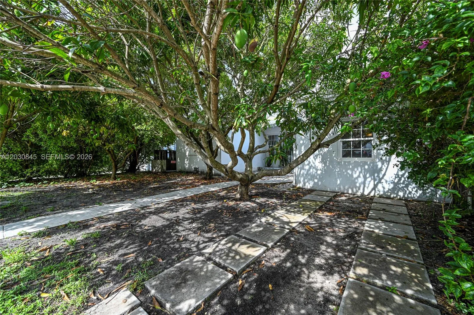 8942 Carlyle Ave, Surfside FL 33154