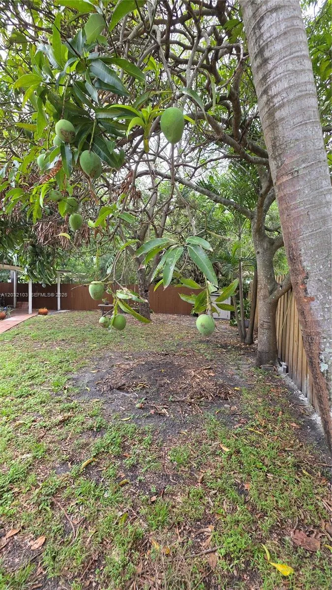 313 SW 2nd Ter # 0, Hallandale Beach FL 33009